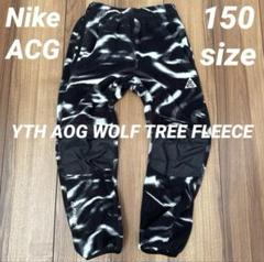 新品 ナイキ ACG Polartec 