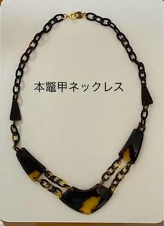 Amazon.co.jp: 本鼈甲張 ネックレス : おもちゃ