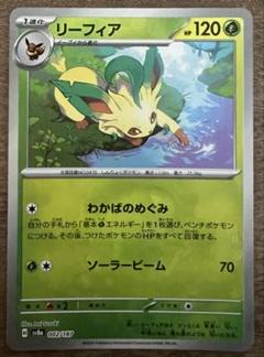 リーフィア マスターボールミラー テラスタルフェス - メルカリ
