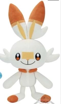 2025年最新】ポケットモンスター もふぐっとぬいぐるみ