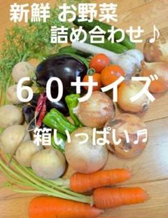 新鮮 お野菜 詰め合わせ ♪ 60サイズ箱いっぱい♪安心メルカリ