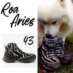 定価9.3万】ARIES ROA ANDREAS ZEBRA ゼブラ 24.5