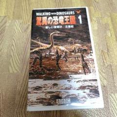 アラクノフォビア未開封VHSビデオテープ Amazon.co.jp: アラクノフォビア(字幕スーパー版) [VHS