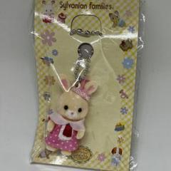 かしいかえん　シルバニア　うさぎのサムネイル