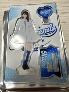 bluelegends Nami シークレットアクリルスタンド