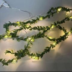 LEDフェイクグリーンライト USB接続 約2メートル