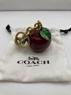 2025年最新】coach キーホルダー リンゴの人気アイテム - メルカリ