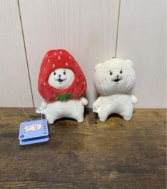 ともだちはくま イヤホン レア 新品未使用 ぬいぐるみ付き