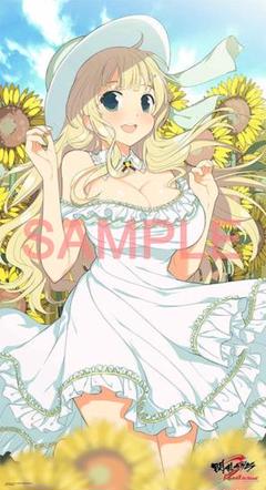 閃乱カグラ Burst ReNewal いまじん特典 描き下ろし特大布