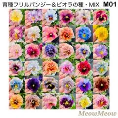 Hプロフ要確認お願い致します様 リクエスト 2点 まとめ商品