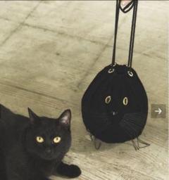 2025年最新】CAT IN DA HOUSE ! バッグの人気アイテム - メルカリ