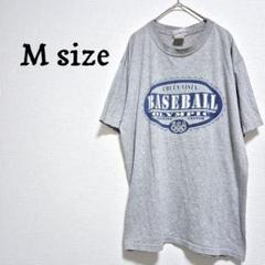 【ヴィンテージ品】USAオリンピックトレーニングセンター 野球 Tシャツ