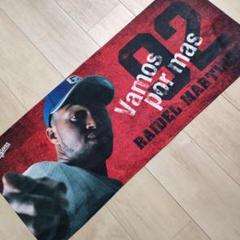 2025年最新】ライデル・マルティネス タオルの人気アイテム
