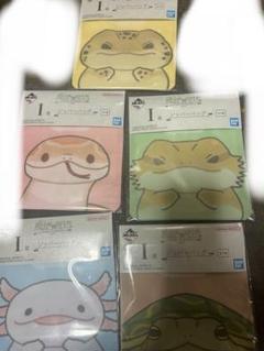 一番くじ　爬虫類＆両生類　I賞　ジッパーバッグ　5種