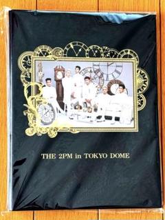 【まとめ売り】2PM \"THE 2PM in TOKYO DOME\"トレカセット まとめ売り】2PM 