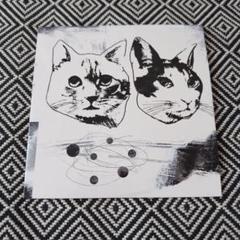 1 / Red Tubby and Calico
