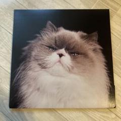 カネコアヤノ レコード 燦々 重量盤 LP 祝祭』『燦々』LP（重量盤）の受注生産限定販売のお知らせ
