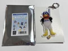 つば九郎 フォトプロップス（スイカ） - メルカリ