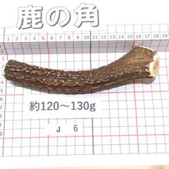 鹿の角 J6 1本120～130g 兵庫県産 鹿角 鹿のツノ しかつの