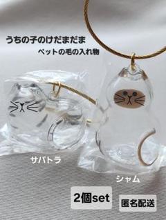 うちの子のけだまだま　サバトラ　シャム　2個セット　ガチャ
