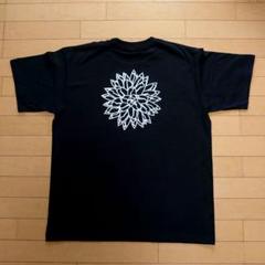 美品2023SS ヴィクトリアベッカム Tシャツ田中みな実さん着用