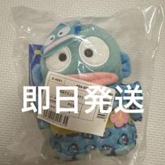 ハンギョドン　キャラ盛り夏まつり サンリオ 夏祭り　マスコット