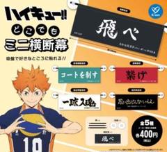 2025年最新】タイトル：ハイキュー!! タペストリーの人気