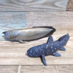Safari シーラカンス＆シルバーアロアナ フィギュア 2個セット 古代魚