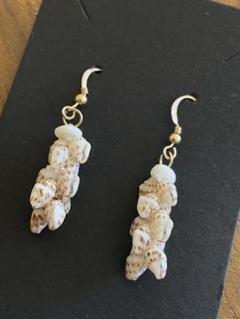 【希少】ニイハウシェルピアス モミオニキニキ ショート 値下げ‼️希少✨ニイハウシェルピアス モミシェル ハワイアン