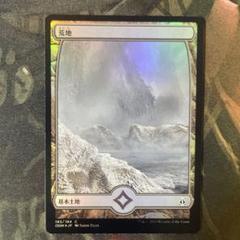 2025年最新】MTG 荒地の人気アイテム - メルカリ