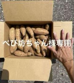 安納芋　こがね　17㎏ fit=scale-down,w=1200