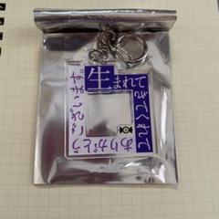 マユリカ アクキー Amazon.co.jp: マユフル マユリカ FRUITS ZIPPER フルーツ