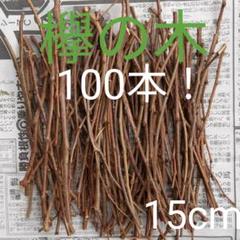 小動物かじり木 小鳥 欅の木100本!