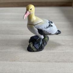 週刊 日本の天然記念物 全50種類＋‪α フィギュアコンプリート 週刊 日本の天然記念物 全50種類＋‪α フィギュアコンプリート‬