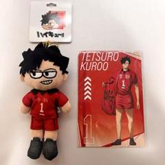 2025年最新】ハイキュープラザ ジロリ ぬいぐるみの人気アイテム
