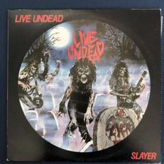 2025年最新】slayer レコードの人気アイテム - メルカリ