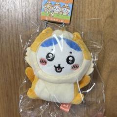 【レア】 ちいかわ ハチワレ 秋田犬 ご当地マスコット