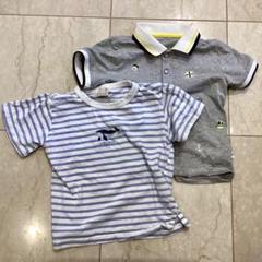 Petit main Tシャツ ポロシャツ kuyee bear 半袖 100