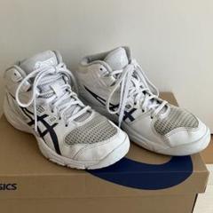 asics ダンクショット MB9 22.0cm ゼビオ限定カラー アシックス