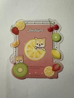 2025年最新】ジェオチャム jochum カードケースの人気アイテム