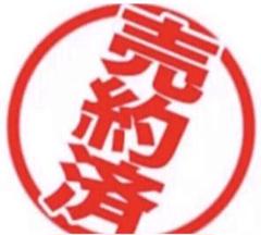 特価5枚セット 非売品 販促ポスター ドラゴンボール セット ⑤