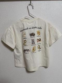 フランシュリッペ ねこ トレーナー 新品未使用 フランシュリッペ猫図鑑長袖スウェット薄手Mベージュ猫柄