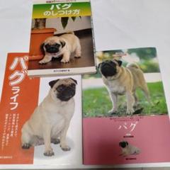 パグ関連書籍3冊セット