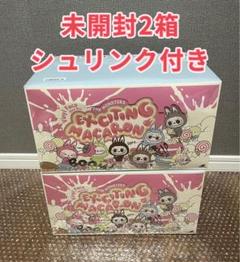 2箱　POPMART MONSTERS Exciting Macaron ラブブ
