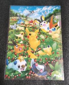 ポケモンセンター　クリアファイル　福岡