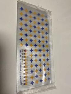 ベガルタ仙台 チケットケース