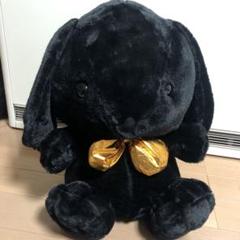 黒いぬいぐるみ 大きな目 楽天市場】ぬいぐるみ目 人形の目 丸型 目玉 約100個入りドール