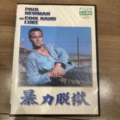 Amazon.co.jp: 超 ポールニューマン 邦題『都会のジャングル