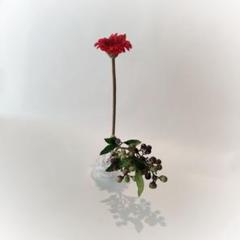 22年最新 花留め ガラスの人気アイテム メルカリ 22年最新 花留め ガラスの人気アイテム メルカリ