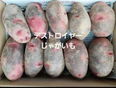 ぷてくん！長崎県産デストロイヤーML20㎏ ぷてくん様専用！長崎県産デストロイヤーML20㎏